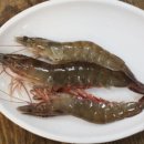 달달언니네