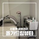 신흥비닐 | 성남 신흥역 피부관리 올가드림뷰티 - 유기농 비타민 디톡스 + 데콜테 후기