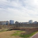 ANH 빌딩 이미지