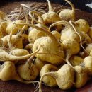 마카 트레이닝 이미지