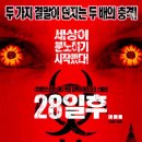 28 이미지