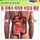 췌장암에 걸려서 수술을 한다고 이미지