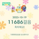 일상푸드 | [일상] 구미 도서 문화 축제와 복개천 푸드 페스티벌 후기