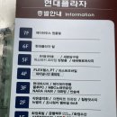 리리브로우 - 부산진구 | 화정속눈썹펌 맛집 헤이데이브로우 클리닉펌 후기