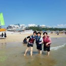 대천해수욕장 이미지