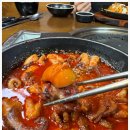 서해쭈꾸미 이미지