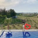 파우제419 펜션 | 제주 애월 숙소 파우제419 / 가족여행, 단체, 키즈 독채 풀빌라 펜션 ♥