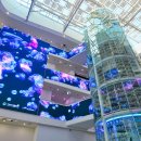 송림리 | 충남 서천 가볼만한곳🦞 국립해양생물자원관 장항 스카이워크