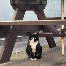 지에스(GS)25태안만리포점 이미지