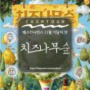 베스킨라빈스대전관평 | 배스킨라빈스 11월 이달의 맛, 배라 치츠나무숲 내돈내산 리얼후기[치즈나무숲]