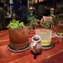 노보카인 이미지