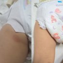 &lt;마 감&gt; 프라임 모이스처라이징 크림 &#34;초고보습&#34; 대용량! (4+1구매시, 선착순 10분, 샤워젤 증정)