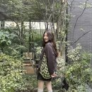 고현정 카카오 검색결과