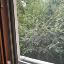 판암동170 이미지