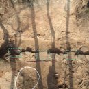 파주통일경기-파주-통일2 이미지