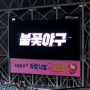 연천-8 | &lt;불꽃야구 시즌 8번째&gt; 파이터즈VS연천미라클 고척돔 직관 후기 415구역 G열 (feat.크림, 마라새우)