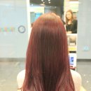 이민미용실 네이버블로그