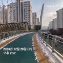 로즈방의식물들 | 루비로즈 부동산] 과제: 스터디 방학 기간 중 임장 후기-기록으로 남기기