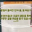 캘리그라피초급 이미지