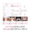 앨리스하우스 이미지