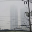 당사의 아침 이미지