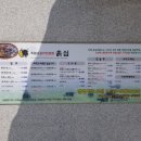 흙심흑염소 이미지