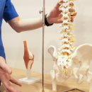 씨제이부속의원 이미지