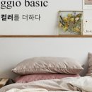 이불아르페지오 이미지
