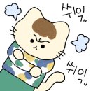 씨장 SSIJANG 이미지