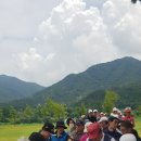 가마골 & 국대밥차 이미지