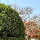 중원초등학교 이미지