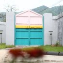 스테이치목 이미지