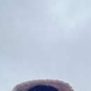 미영사 | 경외 생존일기