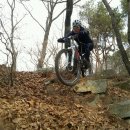 일MTB 이미지