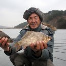 죽전지 Daum카페