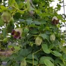 유림농장 이미지