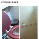팬션
