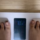 이뻐지는산책 | 고도비만 다이어트 성공기 | 내돈내산 서울 다이어트 병원 후기