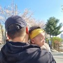 리안헤어(중곡점) | 중랑천 벚꽃축제 태릉입구부터 중랑교 산책로