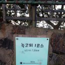 녹고뫼민박 이미지