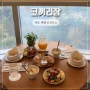 코끼리잠 | 제주 애월 감성숙소 가성비 좋은 조식 맛집 코끼리잠