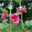 고향산천슈퍼 이미지