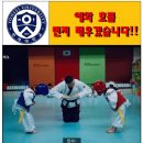 드림아이 태권도 이미지