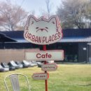 꿈에그린 | 가평 꿈에그린펜션 &amp; 어반플레이스 카페 후기 (MT·단체모임 추천)