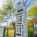 더드림푸드 | 인천 드림파크 야생화단지 피크닉 명소 후기 푸드트럭까지 즐긴 하루