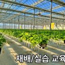 에스에프농장 이미지