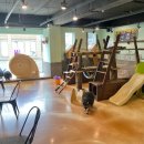 멍이와 쿤이 이미지