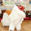 사랑이 넘치는 이미지