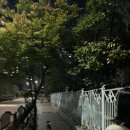 식사중앙근린공원 이미지