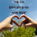 사가록캠핑장 이미지